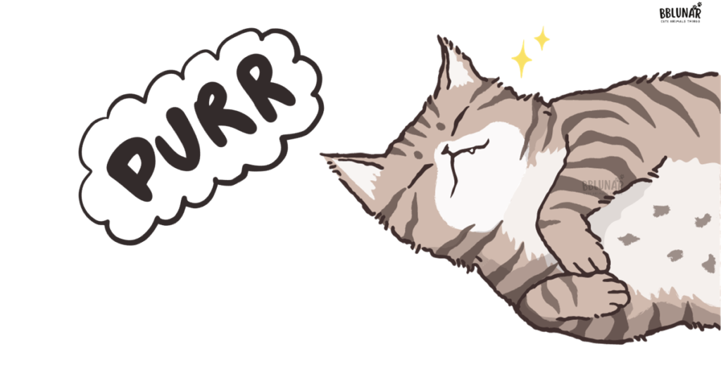 Loudest Purr article